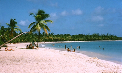 martinique, beaches, Plage des Salines, Grande Anse des Salines